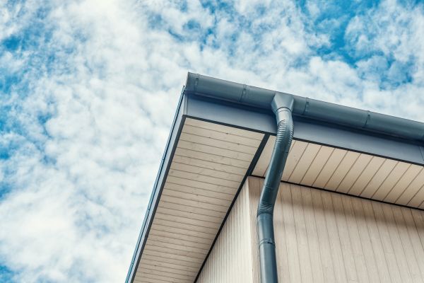 Cost of Gutter Fascia Repair in Castle Rock