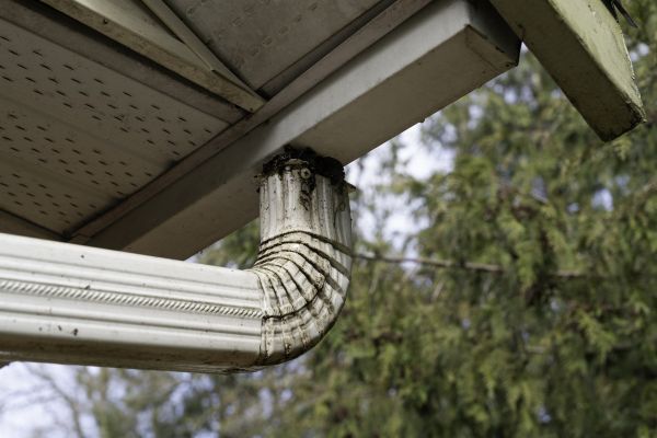 Cost of Roof Drain Replacement in Castle Rock